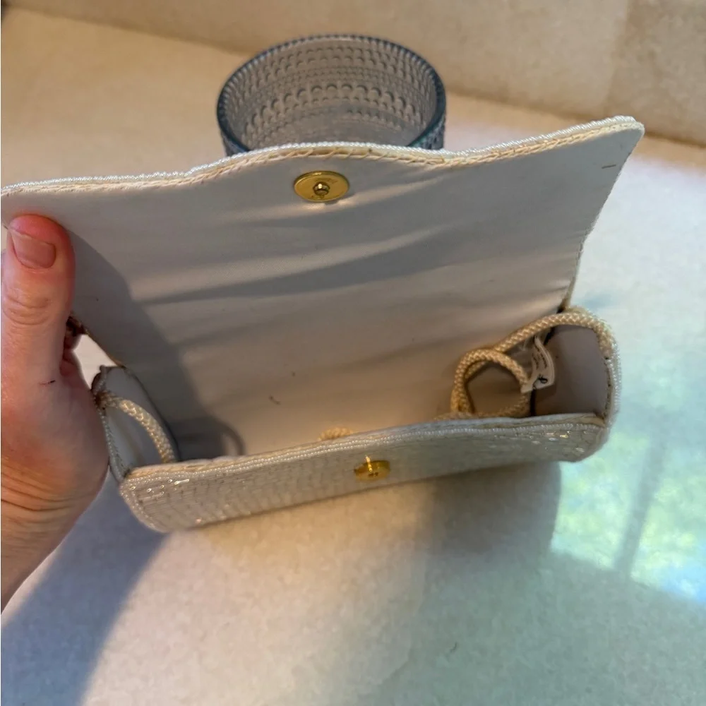 Vintage iridescent Clutch Bag
